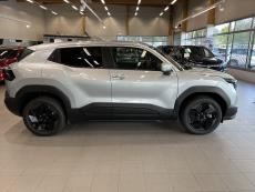 4WD 61 kWh 183 hv GL