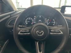 2,0 M Hybrid Skyactiv-G Vision MT