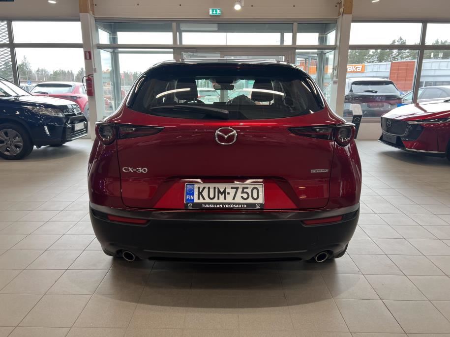 2,0 (150hv) M Hybrid e-Skyactiv-G Vision Plus Business AT Peruutuskamera / HUD / Adaptiivinen vakkar