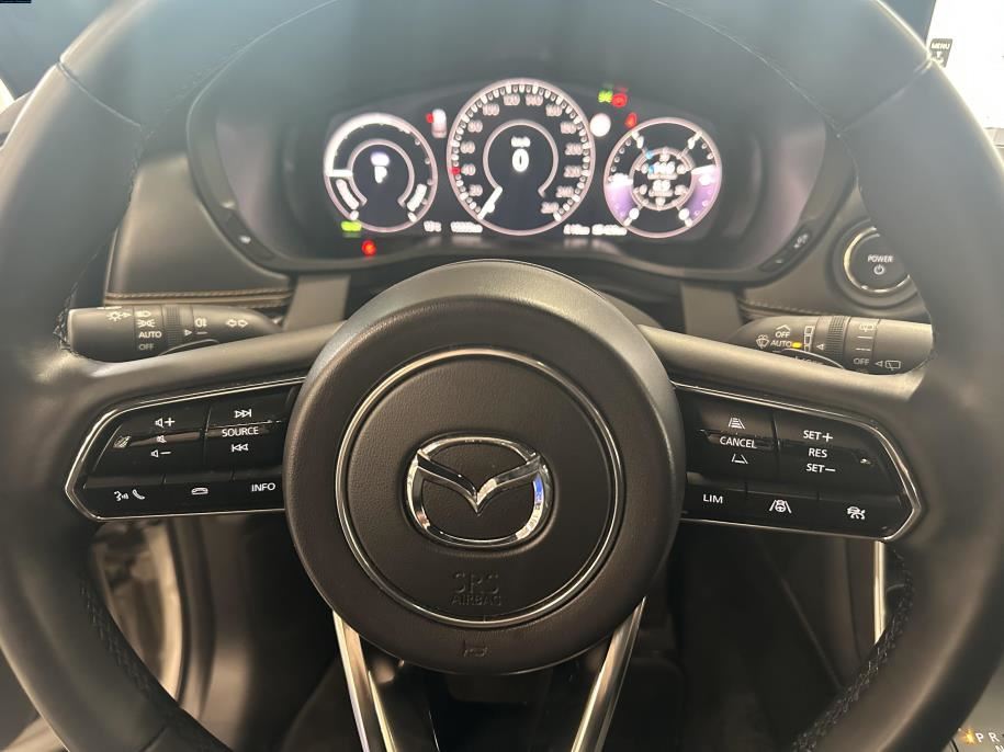 Homura Plus 2.5 PHEV 8AT