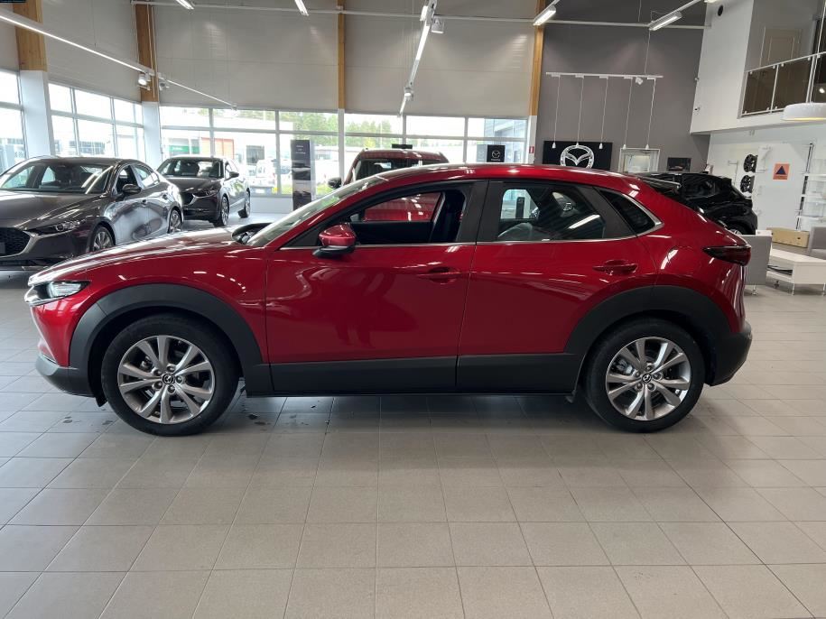 AWD 2,0 M Hybrid Skyactiv-X Elegance Business MT Black Leather Boseaudio / Nahkasisusta / Vetokoukku